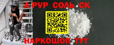 индика Новодвинск