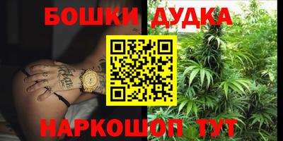 индика Новодвинск