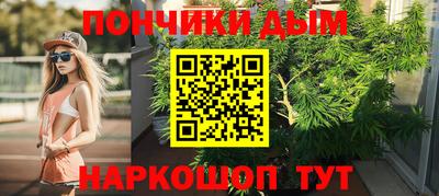 индика Новодвинск