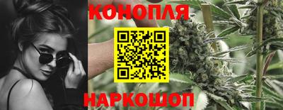 индика Новодвинск